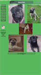Mobile Screenshot of photos.bostonpugs.com