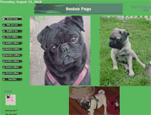 Tablet Screenshot of photos.bostonpugs.com